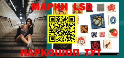 дмт Тара