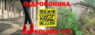 дмт Тара